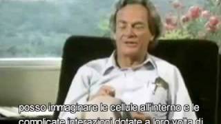 Richard Feynman scienza e poesia [upl. by Dickens669]