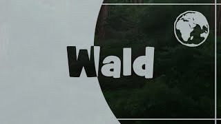 German dictionary  Wald  Forest [upl. by Elbam]