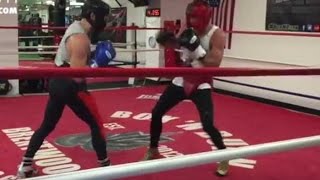 Conor McGregor boxing sparing Chris Van Heerden  2016 [upl. by Astrix]