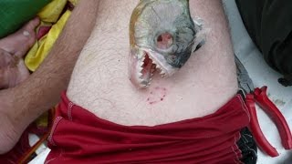 Insane Fishing trip to Guyana Arapaima Payara Piranha [upl. by Canute]