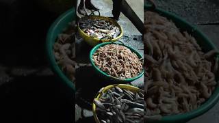 Pondicherry Harbour Fish market vlog Tamil pondicherry harbour fishfishmarket foodcookingvlog [upl. by Aleahpar]