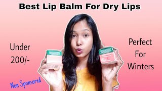 Best Lip Balm For Dry Lips  Perfect for Winters [upl. by Opiuuk806]