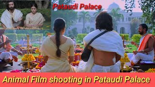 Film Shooting in Pataudi Palace  village Pataudi  animal film shooting in pataudi palace Rockvlog [upl. by Norrahs]