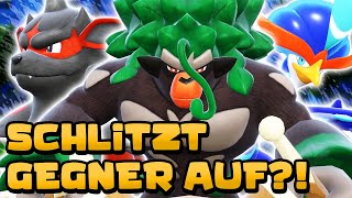 POKÉDEXEINTRÄGE bestimmen unsere POKÉMON dann kämpfen wir [upl. by Aralomo]