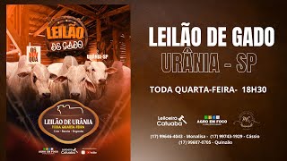 LEILÃO DE URÂNIA SP  06112024 [upl. by Ydnal]