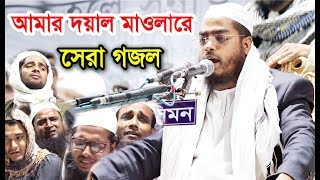 আমার দয়াল মাওলারে হাফিজুর রহমান সিদ্দিকীর সেরা গজল। Hafizur Rahman Siddiki New Gojol 2019 [upl. by Akinnor]