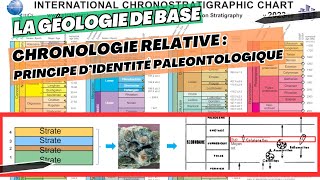 CHRONOLOGIE RELATIVE  Le Principe de lIdentité Paléontologique  science geology caillou [upl. by Anide481]