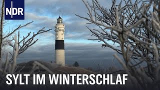 Sylt im Winter  Auszeit vom Saisontrubel  Nordseereport  NDR Doku [upl. by Rodoeht]