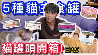 【貓罐頭開箱Ep9】久違的貓主食罐開箱教你怎麼找正確營養數值心頭肉可蒂毛毛呼呼罐肉球糧行RAWZ納茲凱力女神開箱 [upl. by Akanke]