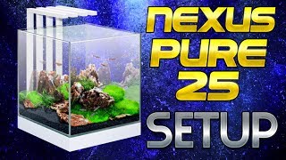 CIANO NEXUS PURE 25 TANK SETUP [upl. by Tiffani]