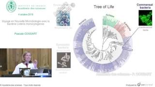 Conférence P COSSART  Voyage en Nouvelle Microbiologie avec la bactérie Listeria monocytogenes [upl. by Perlis703]