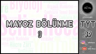 3 Mayoz Bölünme 1 [upl. by Outlaw]