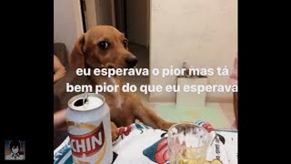 😔Tá pior do que eu esperava  MEMES SHITPOST COMPILADO 40 [upl. by Ilak]