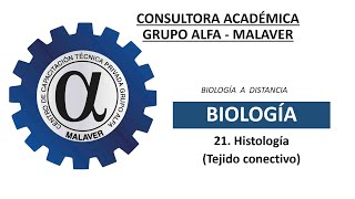 21 Histología Tejido conectivo [upl. by Rj]