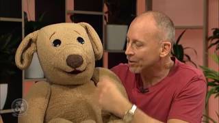 International Comedy Star David Strassman joins us on The Cafe [upl. by Adnawat]