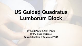 LSORA Ultrasound Guided Quadratus Lumborum Block Tutorial [upl. by Krell624]