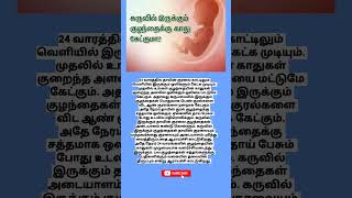 24 வாரத்தில் வயிற்றில் உள்ள குழந்தைக்கு காது கேட்குமா [upl. by Gnus]