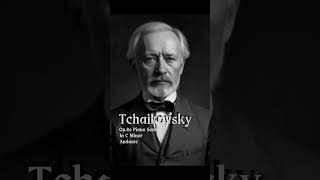 Tchaikovsky  Op 80 Piano Sonata In C Minor Andante [upl. by Archaimbaud]