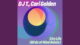 City Life Birds Of Mind Remix [upl. by Dnomse]