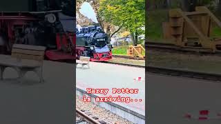 Hogwarts Express arriving in Binz subscribe harrypotter steamtrain shorts germany hogwarts [upl. by Margette24]