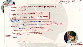 Anatomical Snuffbox Comprehensive Anatomy amp Clinical Importance [upl. by Ahmar875]