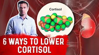 6 Ways To Lower Cortisol Levels – Cortisol Stress Hormone – Dr Berg [upl. by Orna]