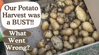 POTATO HARVEST FAIL  WHAT WENT WRONG  GARDENING [upl. by Niamart]