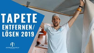 TAPETEN entfernen TIPPS 2019  Einfach Tapete lösen vom Wandprofi [upl. by Leonid]