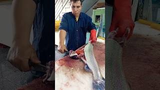 No boning of salmon and roe fishcutting [upl. by Merril63]