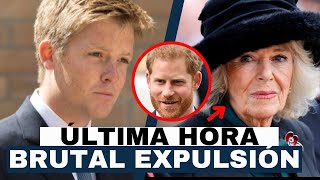 EL DUQUE DE WESTMINSTER EXPULSA A LA REINA de SU BODA EN APOYO AL PRÍNCIPE HARRY ¡ÚLTIMA HORA [upl. by Nolat]