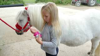 How to groom and look after your Shetland Pony Tutorial with Harlow White Age 5 [upl. by Jadda]