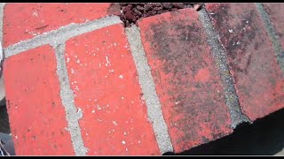 How to REMOVE MOLD from BRICKS [upl. by Gregrory27]