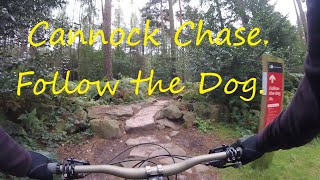 Mountain Biking at Cannock Chase Forest Highlights from Follow the Dog The red MTB single track [upl. by Llemrej]