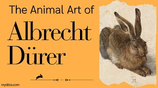 The Animal Art of Albrecht Dürer from the Northern Renaissance art animals drawing [upl. by Renny]