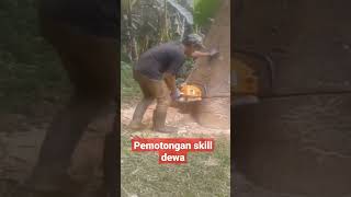 Tukang senso ini di atas Ratarata [upl. by Clerk]