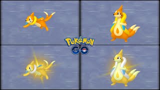 Pokemon Go Evolving Normal amp Shiny Buizel into Normal amp Shiny Floatzel [upl. by Tamra]