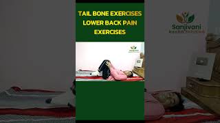 tail bone exercises  tailbonepain tailbonereliefexercises coccydynia [upl. by Yerak193]