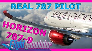 Real 787 Pilot Reviews the Horizon 7879 [upl. by Rotceh]