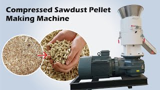 Sawdust pellet making machine  How to make compressed wood pellets [upl. by Trepur]