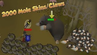 LOOT FROM 2000 MOLE SKINSMOLE CLAWS  OSRS Giant Mole Loot [upl. by Annad]