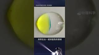 有趣的微型科学小实验，物理与化学的碰撞太美啦！科普 [upl. by Pete547]