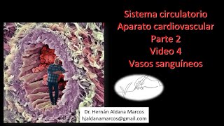 Sistema circulatorio Vasos Video 4 de 5 Hernán Aldana Marcos [upl. by Waters323]