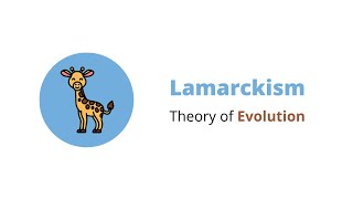 Lamarckism  Infographics  Theories of Evolution [upl. by Eceinhoj359]