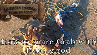 How to snare crab with a fishing rodDungeness crabbinglawsons landingDillons beach [upl. by Lladnarc938]