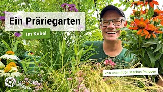 Ein Präriegarten im Kübel  gardify Tipps [upl. by Keeton]