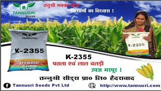 Vista 3355 Makka Bij Tannusri K2355 amp K2608 Makka Bij  Best Makka Bij  Best Hybrid Maize Seeds [upl. by Anerac]