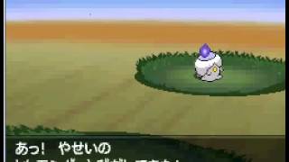 How to Catch Litwick on Pokemon Black amp White 2 [upl. by Leaper]