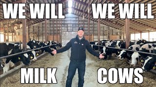 We Will Milk Cows We Will Rock You Parody [upl. by Ardnaxila]