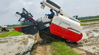 Kubota Harvester King 2 Deep Mud Paddy Cutting [upl. by Syl]