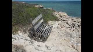 Rats  Welcome to Rat Island Houtman Abrolhos Islands [upl. by Gibbeon269]